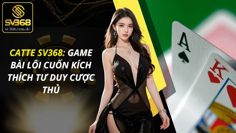 Catte SV368