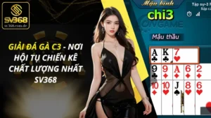Giải Đá Gà C3