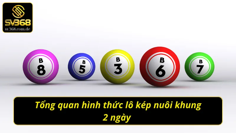 Vài nét cần biết về lô kép nuôi khung 2 ngày 