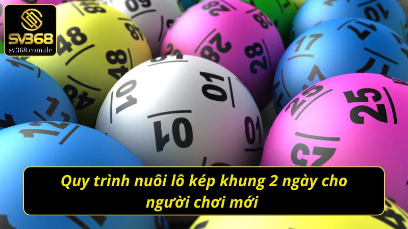Quy trình bắt lô kép nuôi khung 2 ngày cho lô thủ  